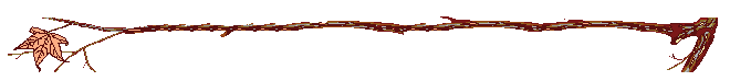 o-12.gif (2214 bytes)